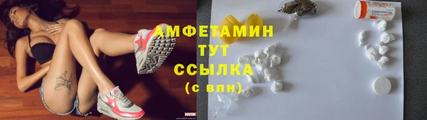 спиды Аркадак